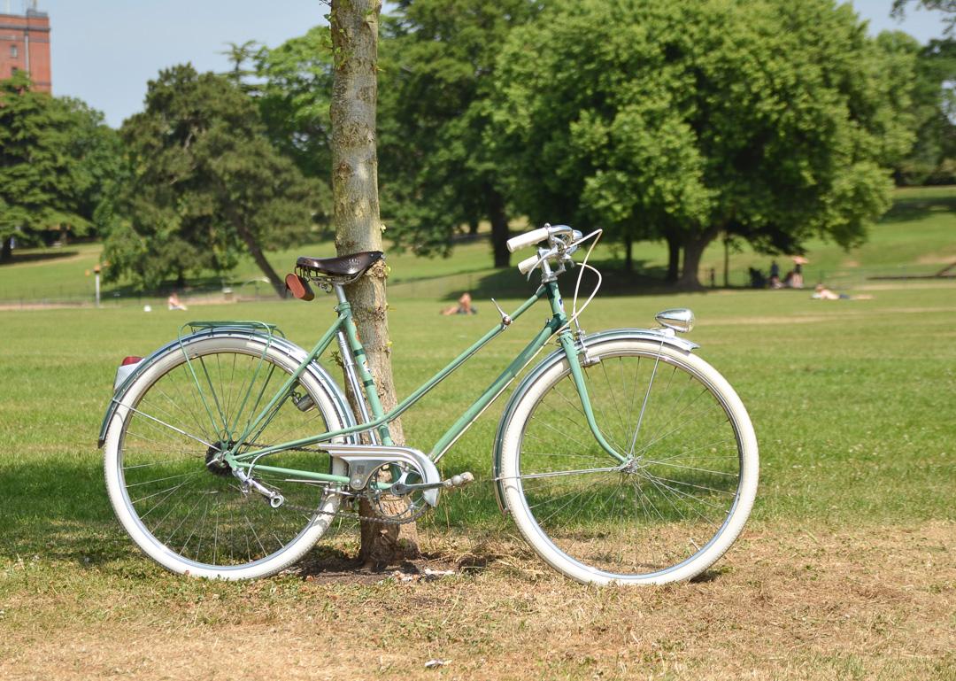 1950's Vintage Peugeot Bicycle Right Side against a tree